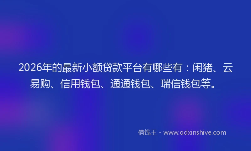 2026年的最新小额贷款平台有哪些有：闲猪、云易购、信用钱包、通通钱包、瑞信钱包等。