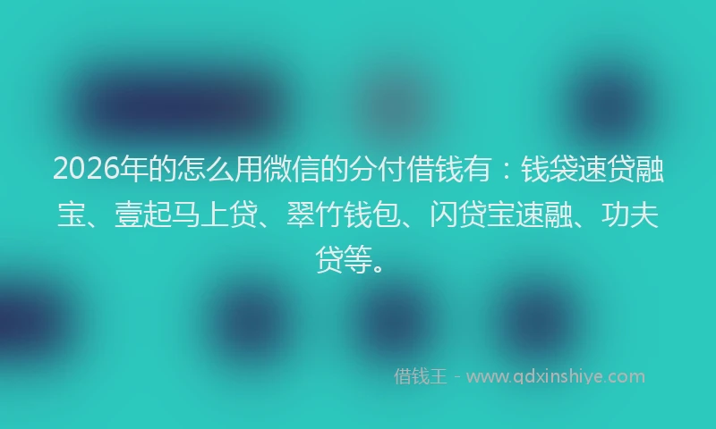 2026年的怎么用微信的分付借钱有：钱袋速贷融宝、壹起马上贷、翠竹钱包、闪贷宝速融、功夫贷等。