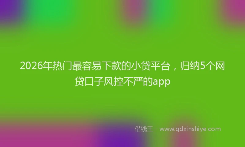2026年热门最容易下款的小贷平台，归纳5个网贷口子风控不严的app
