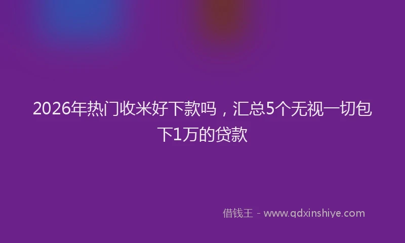 2026年热门收米好下款吗，汇总5个无视一切包下1万的贷款