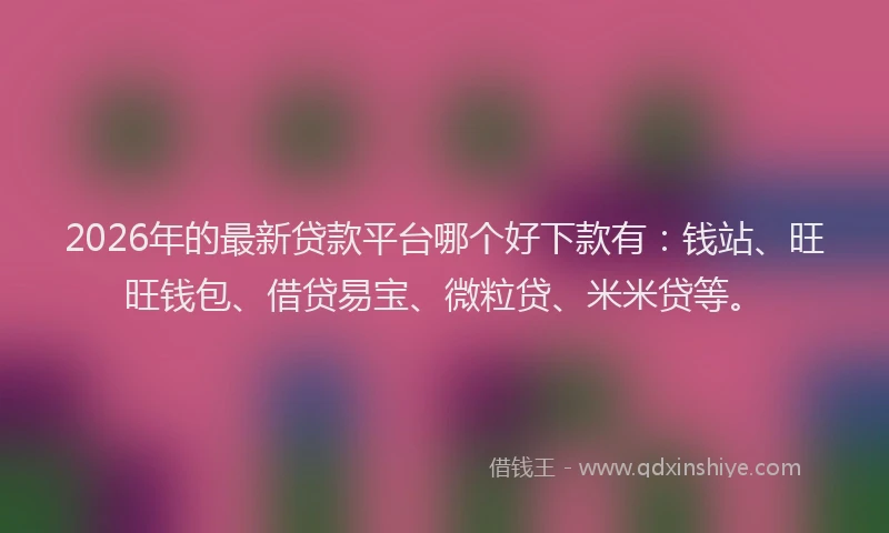 2026年的最新贷款平台哪个好下款有：钱站、旺旺钱包、借贷易宝、微粒贷、米米贷等。