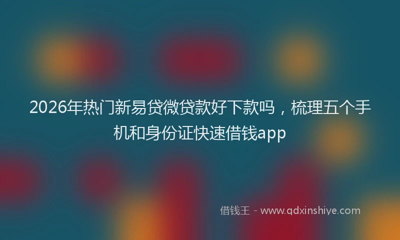 2026年热门新易贷微贷款好下款吗，梳理五个手机和身份证快速借钱app