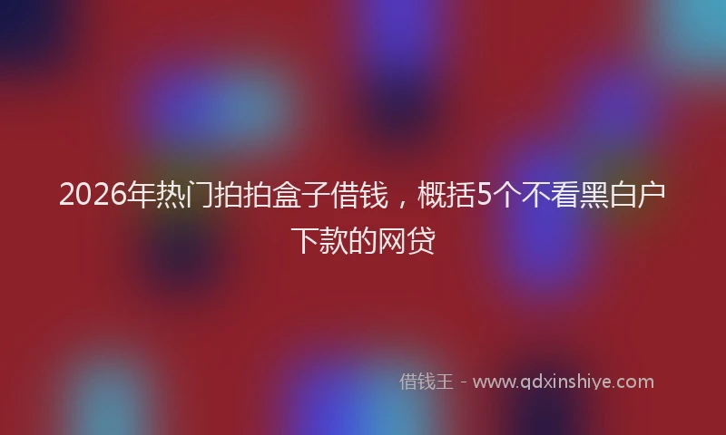 2026年热门拍拍盒子借钱，概括5个不看黑白户下款的网贷