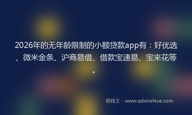 2026年的无年龄限制的小额贷款app有：好优选、微米金条、沪商易借、借款宝速易、宝来花等。