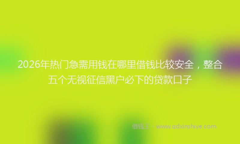 2026年热门急需用钱在哪里借钱比较安全，整合五个无视征信黑户必下的贷款口子