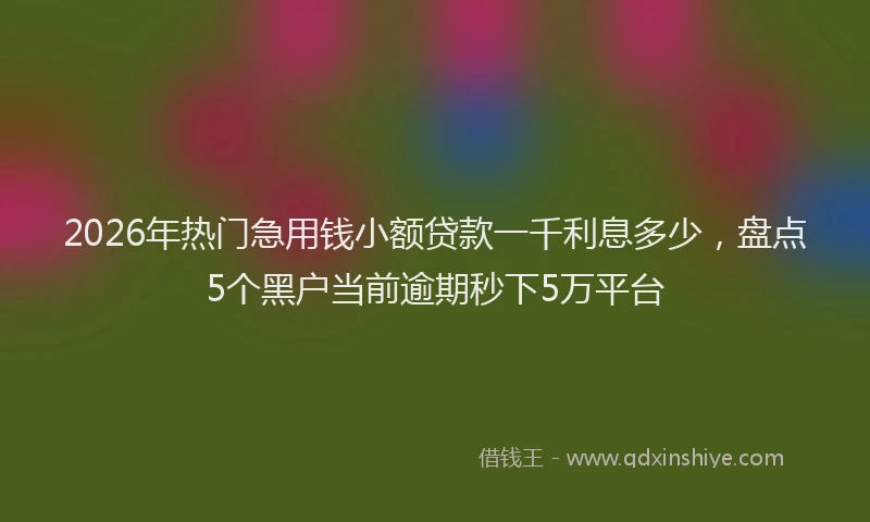 2026年热门急用钱小额贷款一千利息多少，盘点5个黑户当前逾期秒下5万平台