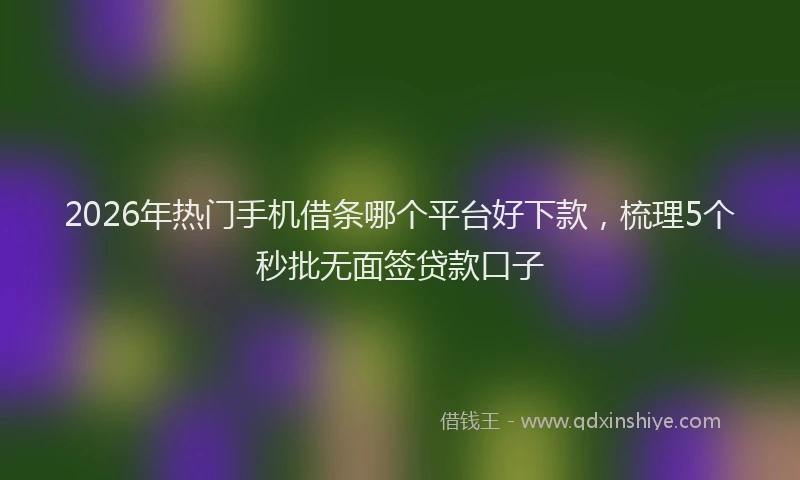 2026年热门手机借条哪个平台好下款，梳理5个秒批无面签贷款口子