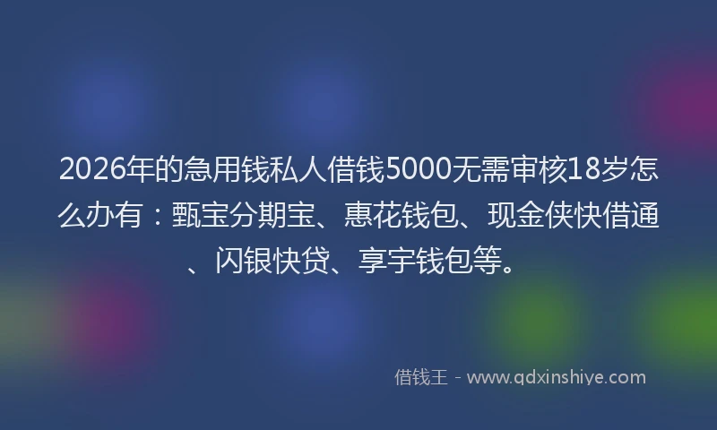 2026年的急用钱私人借钱5000无需审核18岁怎么办有:甄宝分期宝、惠花钱包、现金侠快借通、闪银快贷、享宇钱包等。