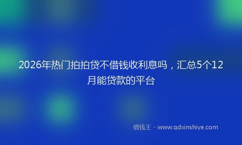 2026年热门拍拍贷不借钱收利息吗，汇总5个12月能贷款的平台