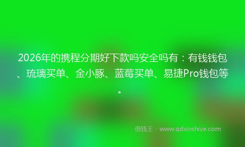 2026年的携程分期好下款吗安全吗有:有钱钱包、琉璃买单、金小豚、蓝莓买单、易捷Pro钱包等。