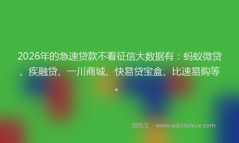 2026年的急速贷款不看征信大数据有：蚂蚁微贷、疾融贷、一川商城、快易贷宝盒、比速易购等。