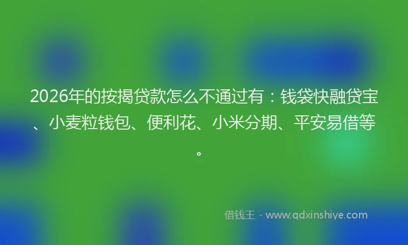 2026年的按揭贷款怎么不通过有:钱袋快融贷宝、小麦粒钱包、便利花、小米分期、平安易借等。