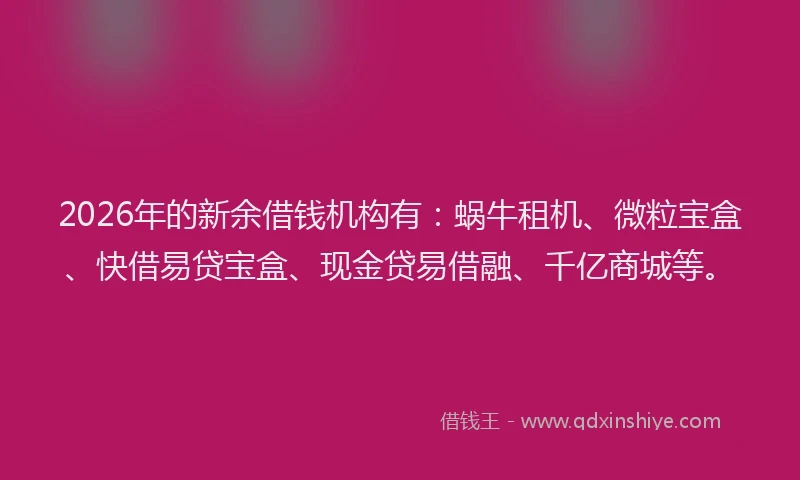 2026年的新余借钱机构有：蜗牛租机、微粒宝盒、快借易贷宝盒、现金贷易借融、千亿商城等。