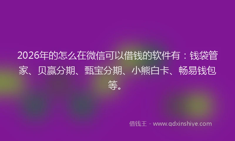 2026年的怎么在微信可以借钱的软件有：钱袋管家、贝赢分期、甄宝分期、小熊白卡、畅易钱包等。
