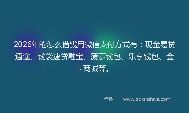 2026年的怎么借钱用微信支付方式有：现金易贷通途、钱袋速贷融宝、菠萝钱包、乐享钱包、金卡商城等。