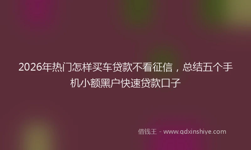 2026年热门怎样买车贷款不看征信，总结五个手机小额黑户快速贷款口子