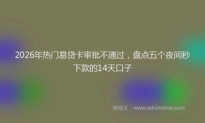2026年热门易贷卡审批不通过，盘点五个夜间秒下款的14天口子