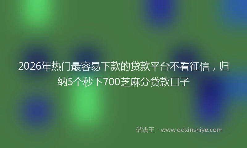 2026年热门最容易下款的贷款平台不看征信，归纳5个秒下700芝麻分贷款口子