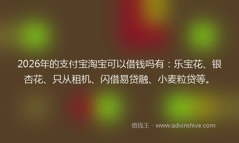 2026年的支付宝淘宝可以借钱吗有：乐宝花、银杏花、只从租机、闪借易贷融、小麦粒贷等。