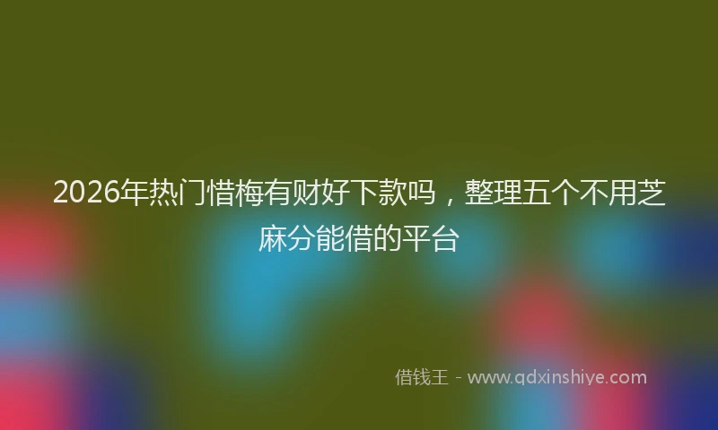 2026年热门惜梅有财好下款吗，整理五个不用芝麻分能借的平台