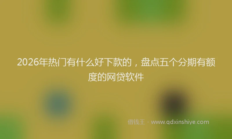 2026年热门有什么好下款的，盘点五个分期有额度的网贷软件