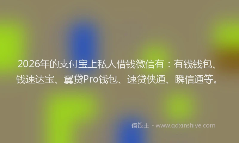 2026年的支付宝上私人借钱微信有：有钱钱包、钱速达宝、翼贷Pro钱包、速贷侠通、瞬信通等。