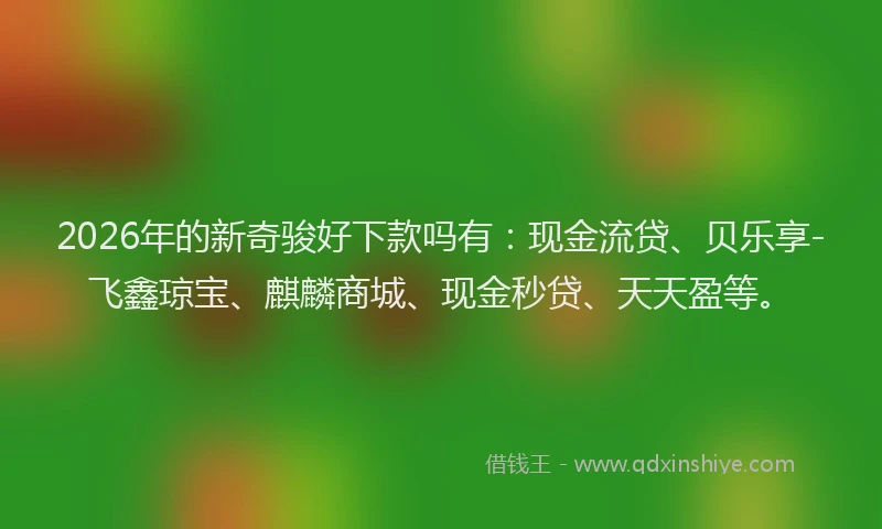 2026年的新奇骏好下款吗有：现金流贷、贝乐享-飞鑫琼宝、麒麟商城、现金秒贷、天天盈等。
