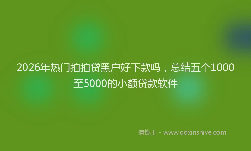 2026年热门拍拍贷黑户好下款吗，总结五个1000至5000的小额贷款软件