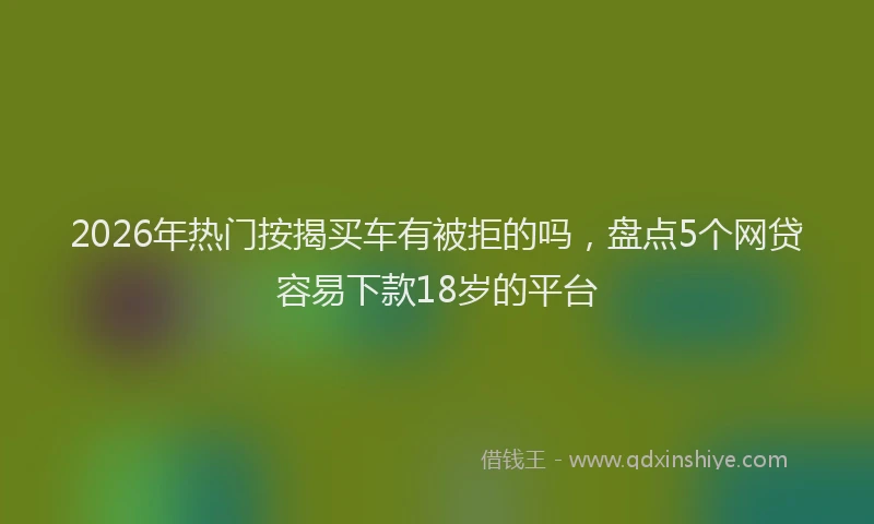 2026年热门按揭买车有被拒的吗，盘点5个网贷容易下款18岁的平台