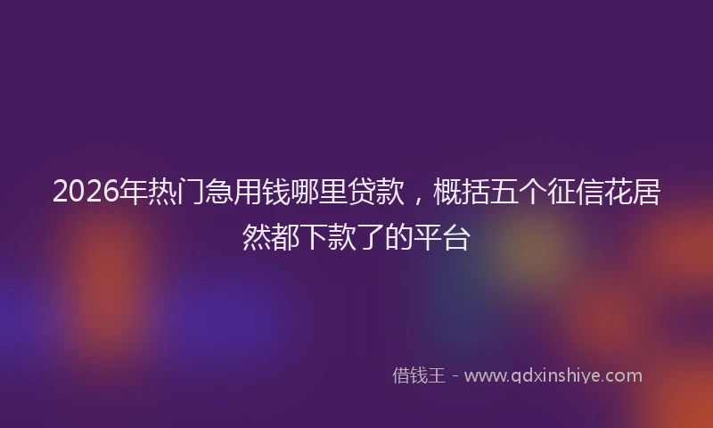 2026年热门急用钱哪里贷款,概括五个征信花居然都下款了的平台