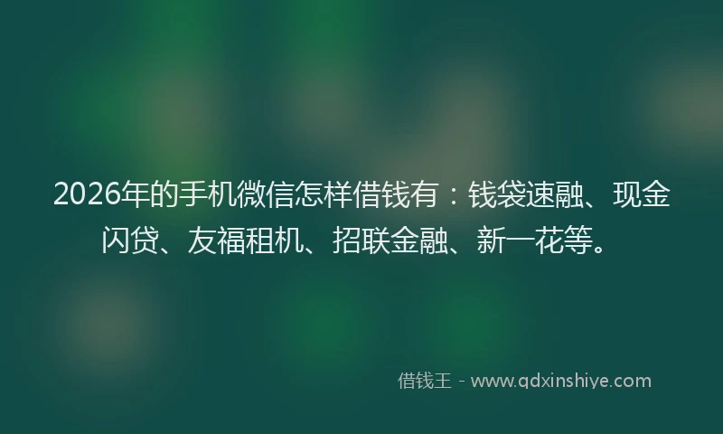 2026年的手机微信怎样借钱有：钱袋速融、现金闪贷、友福租机、招联金融、新一花等。