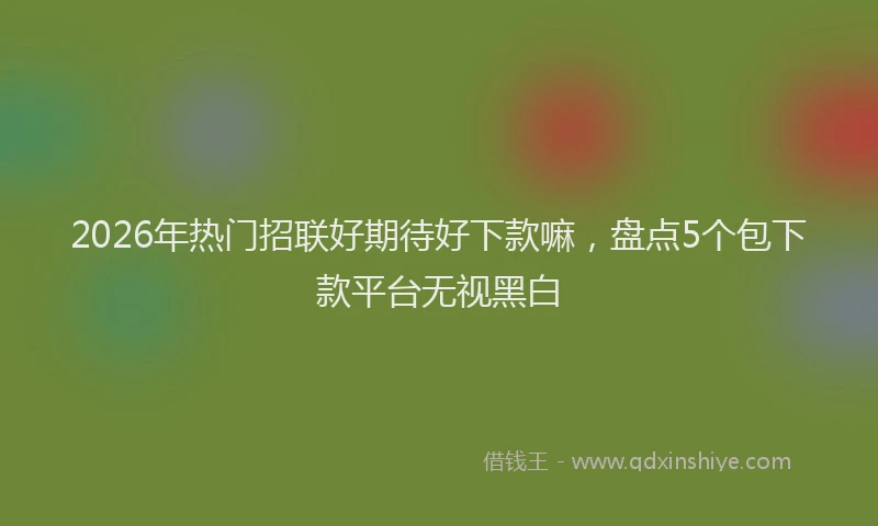 2026年热门招联好期待好下款嘛，盘点5个包下款平台无视黑白