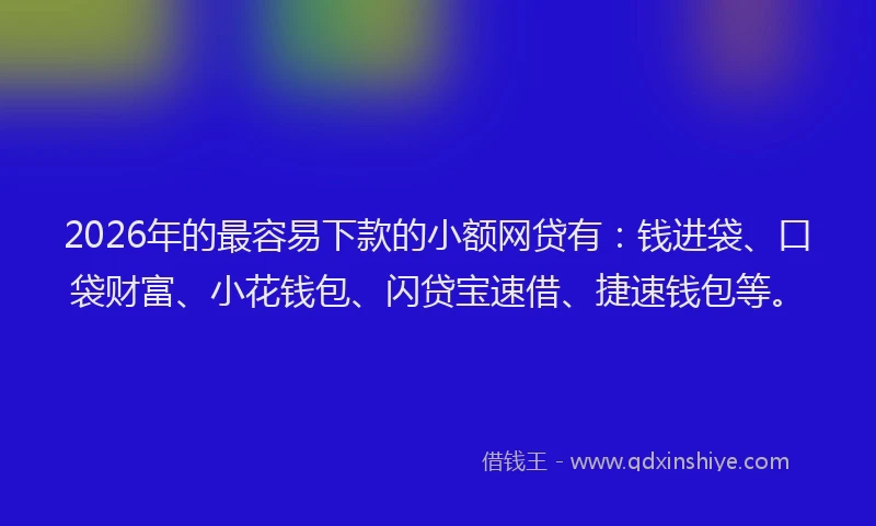 2026年的最容易下款的小额网贷有：钱进袋、口袋财富、小花钱包、闪贷宝速借、捷速钱包等。