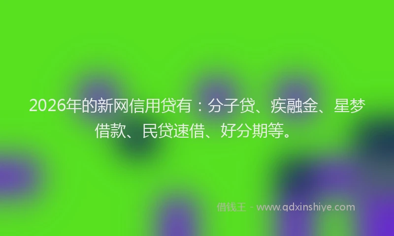 2026年的新网信用贷有：分子贷、疾融金、星梦借款、民贷速借、好分期等。