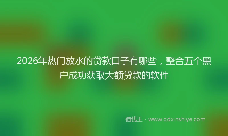 2026年热门放水的贷款口子有哪些，整合五个黑户成功获取大额贷款的软件