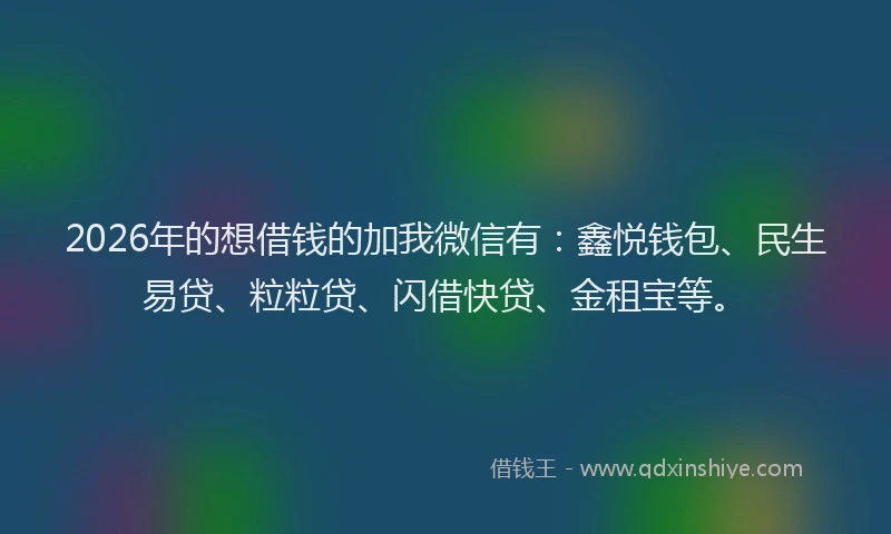2026年的想借钱的加我微信有：鑫悦钱包、民生易贷、粒粒贷、闪借快贷、金租宝等。