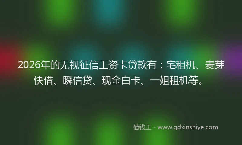 2026年的无视征信工资卡贷款有：宅租机、麦芽快借、瞬信贷、现金白卡、一姐租机等。