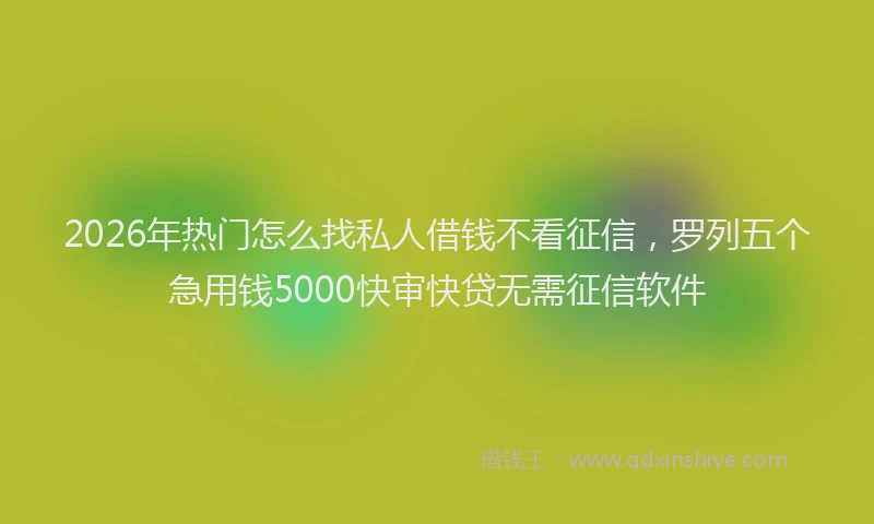 2026年热门怎么找私人借钱不看征信，罗列五个急用钱5000快审快贷无需征信软件