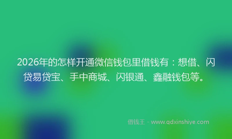 2026年的怎样开通微信钱包里借钱有：想借、闪贷易贷宝、手中商城、闪银通、鑫融钱包等。