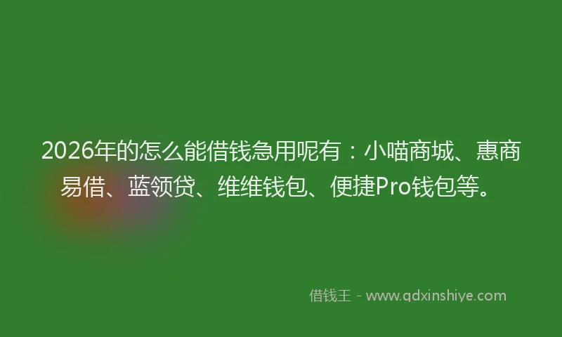 2026年的怎么能借钱急用呢有：小喵商城、惠商易借、蓝领贷、维维钱包、便捷Pro钱包等。