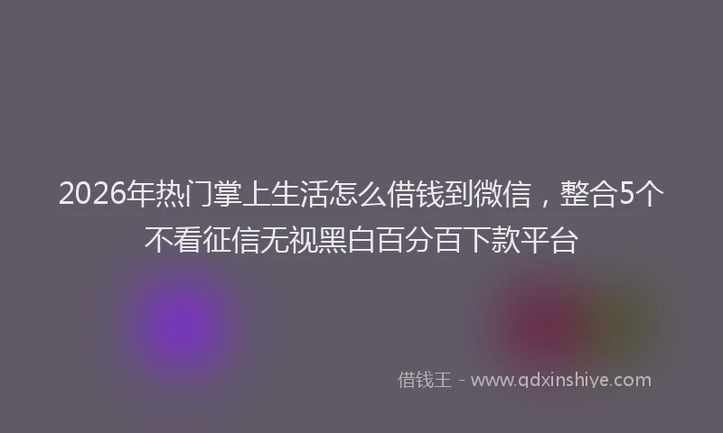 2026年热门掌上生活怎么借钱到微信，整合5个不看征信无视黑白百分百下款平台