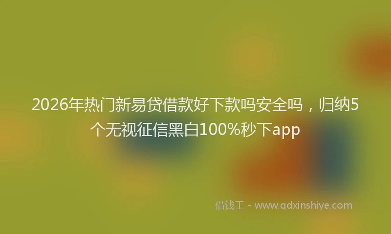 2026年热门新易贷借款好下款吗安全吗，归纳5个无视征信黑白100%秒下app