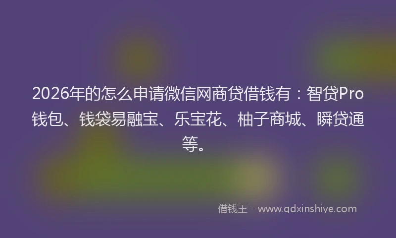 2026年的怎么申请微信网商贷借钱有:智贷Pro钱包、钱袋易融宝、乐宝花、柚子商城、瞬贷通等。