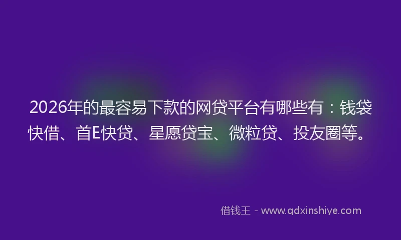 2026年的最容易下款的网贷平台有哪些有:钱袋快借、首E快贷、星愿贷宝、微粒贷、投友圈等。
