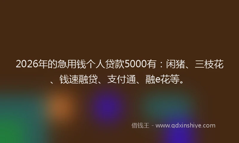2026年的急用钱个人贷款5000有:闲猪、三枝花、钱速融贷、支付通、融e花等。