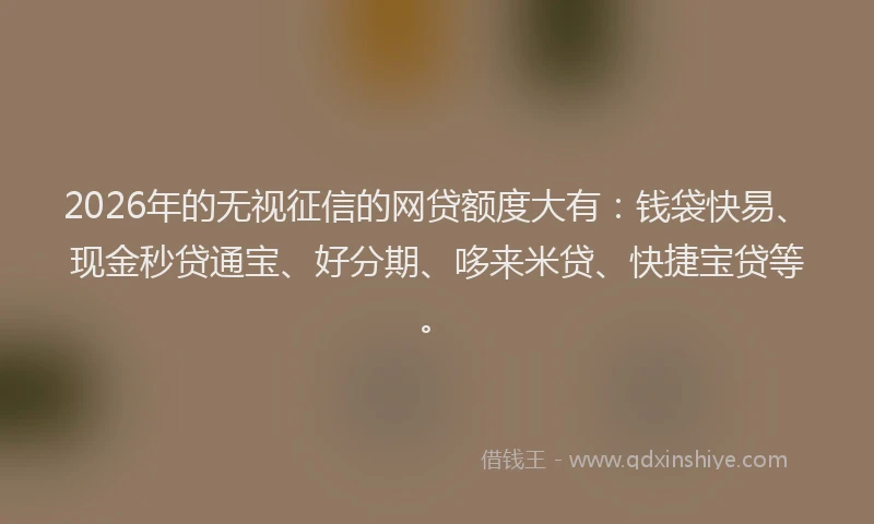 2026年的无视征信的网贷额度大有：钱袋快易、现金秒贷通宝、好分期、哆来米贷、快捷宝贷等。