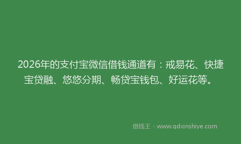 2026年的支付宝微信借钱通道有:戒易花、快捷宝贷融、悠悠分期、畅贷宝钱包、好运花等。