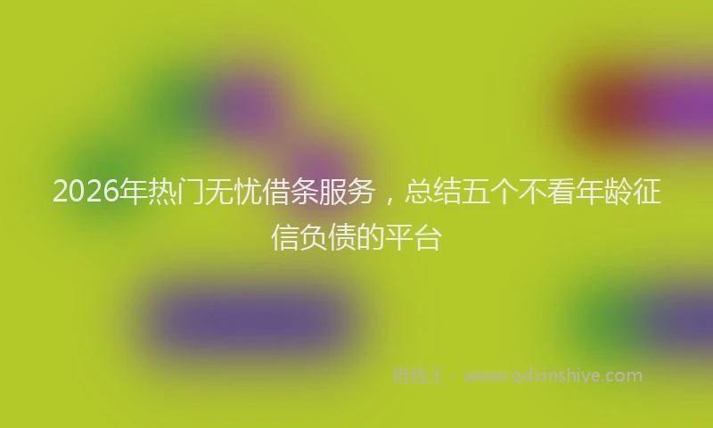 2026年热门无忧借条服务，总结五个不看年龄征信负债的平台