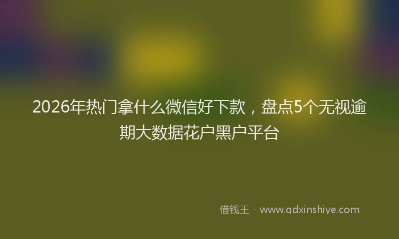 2026年热门拿什么微信好下款，盘点5个无视逾期大数据花户黑户平台