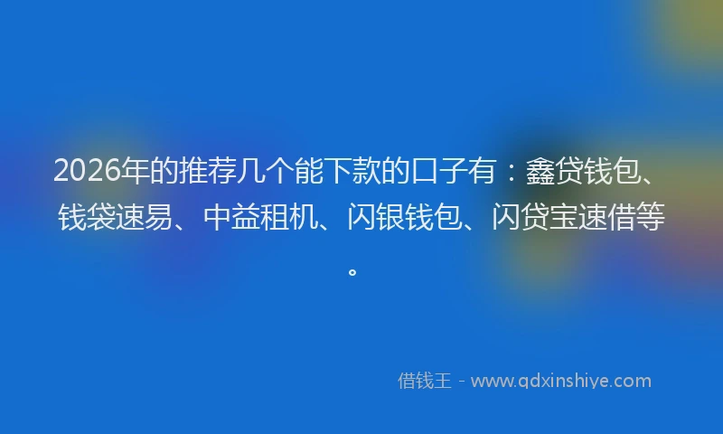 2026年的推荐几个能下款的口子有：鑫贷钱包、钱袋速易、中益租机、闪银钱包、闪贷宝速借等。